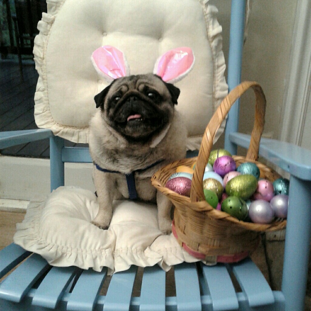 Meet your Posher, Debbie Clanton Posh Ambassador